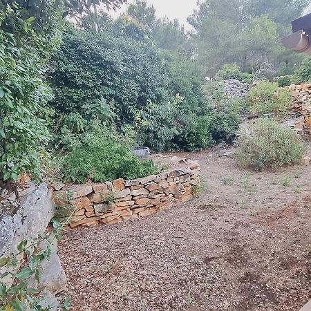 Maisonnette Chez L'Habitant La Ciotat Luaran gambar