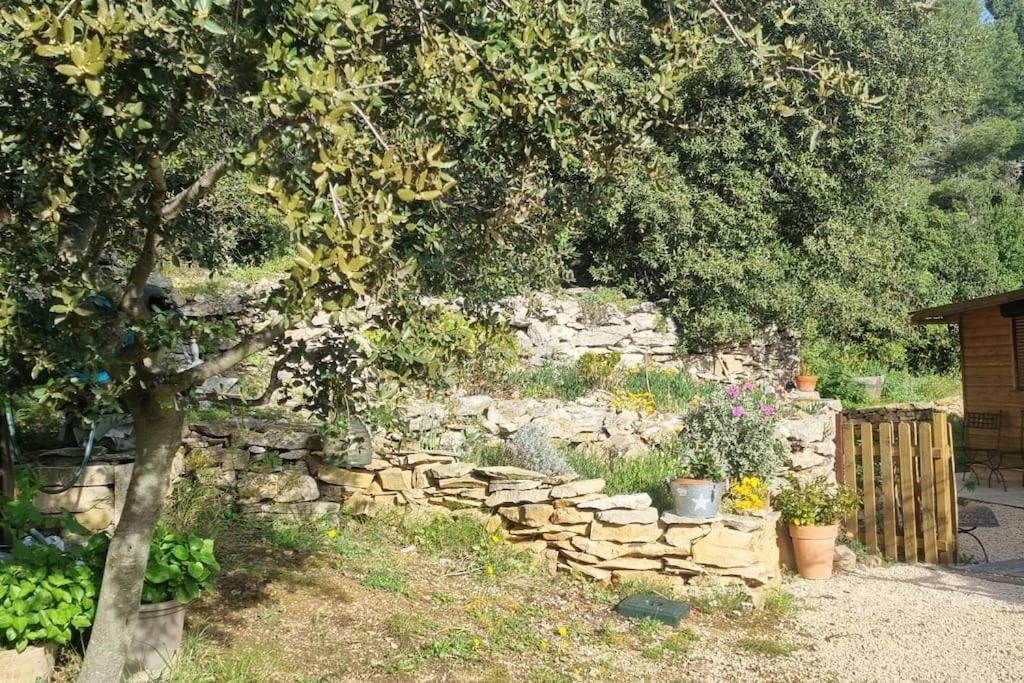 Maisonnette Chez L'Habitant La Ciotat Luaran gambar